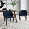 Modrest Elon - Modern Dining Chair (Set of 2)