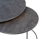 Florin Coffee Tables Set Of 2