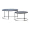 Florin Coffee Tables Set Of 2