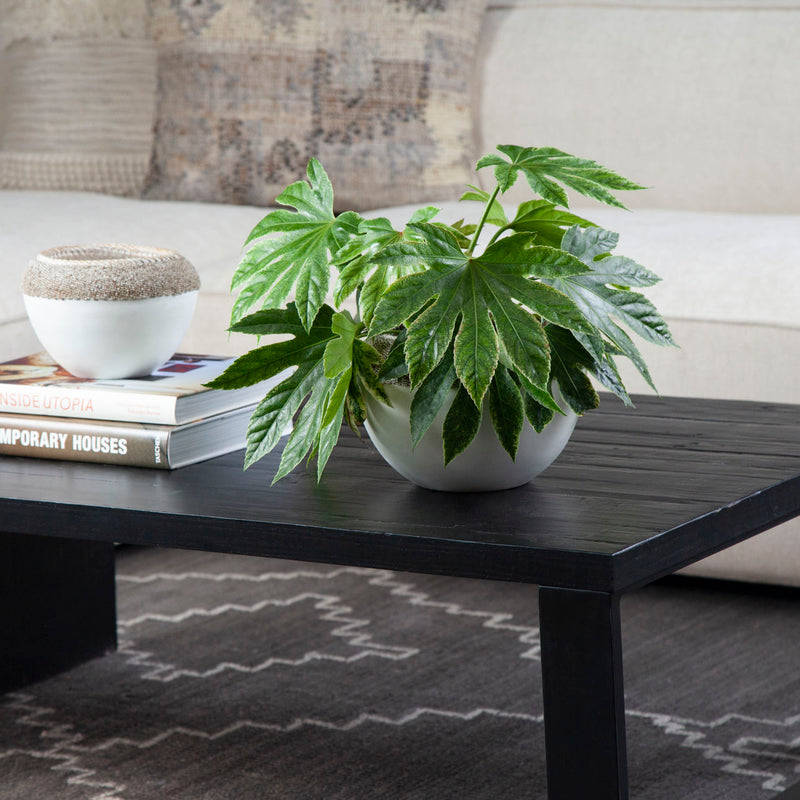 Mika Coffee Table