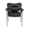 Aphrodites Chair, Metal with Leather