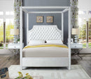 Rowan Velvet Canopy Bed