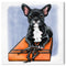 BOX FRENCHIE II Canvas