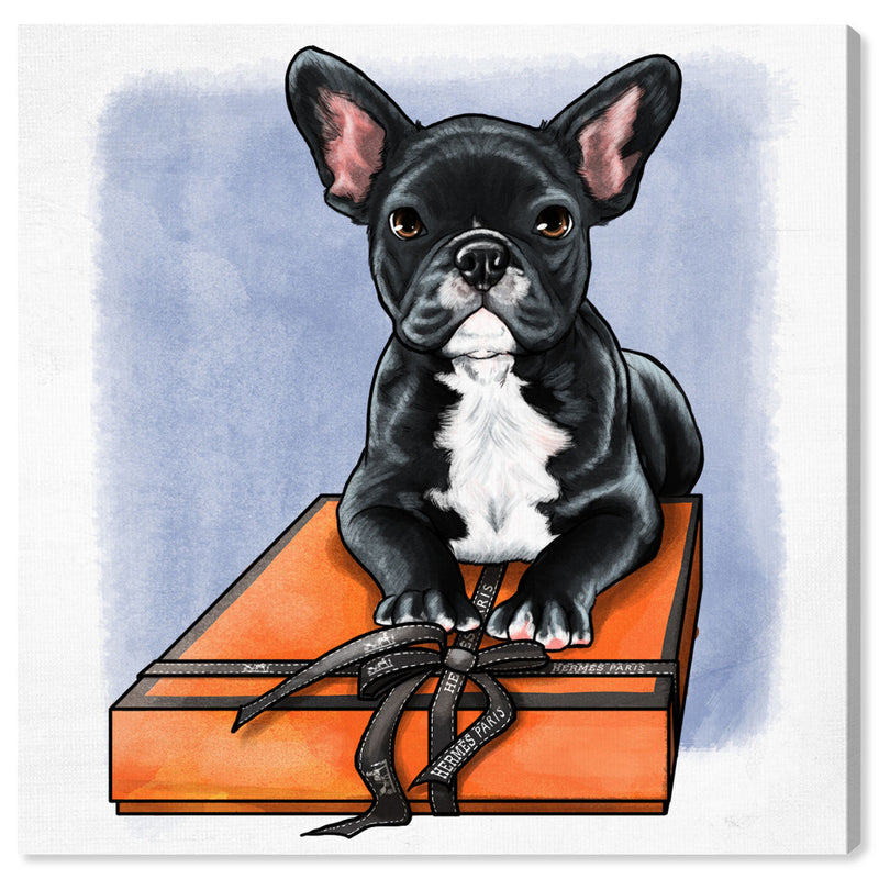 BOX FRENCHIE II Canvas