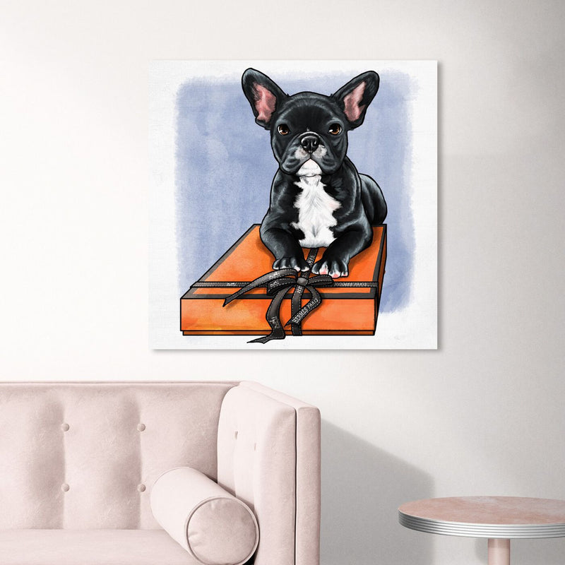 BOX FRENCHIE II Canvas