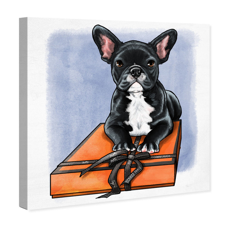 BOX FRENCHIE II Canvas