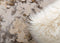 Helios Ivory Beige Rug