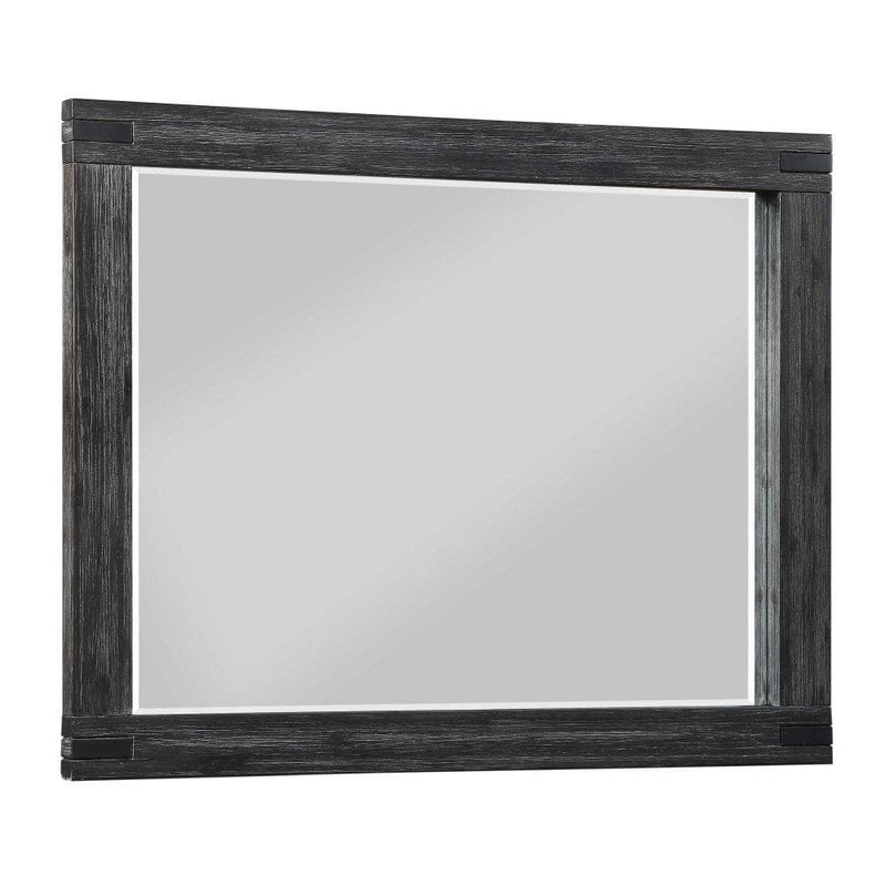 Meadow Graphite Mirror