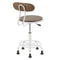 Dakota Task Chair