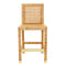 Amara Rattan Counter Stool