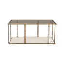Emma Ash & Glass Coffee Table