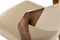 Modrest Arlo Mid-Century Beige & Walnut Dining Chair (Set of 2)