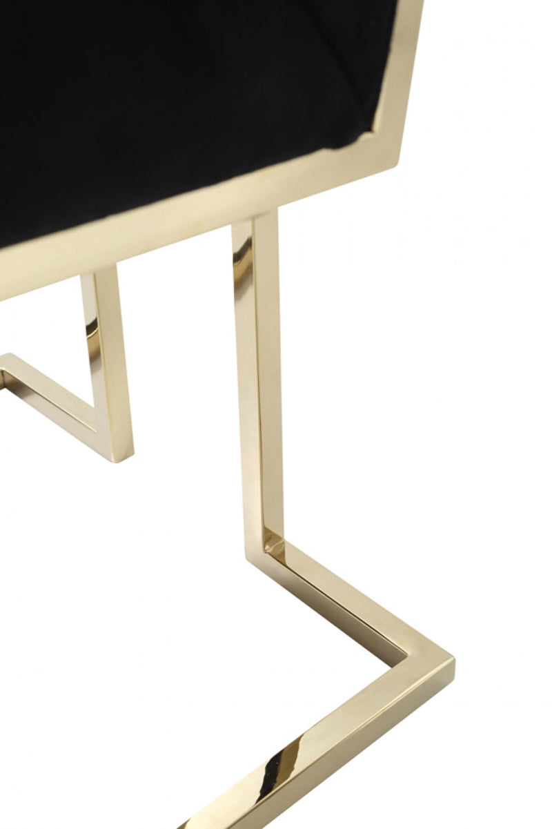 Modrest Legend - Modern Rosegold Dining Chair (Set of 2)