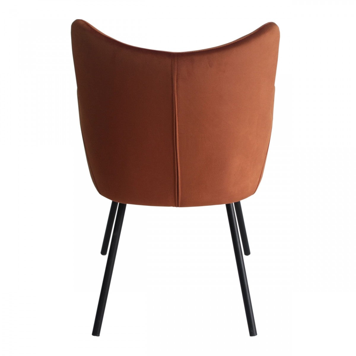 Modrest Barrett - Modern Dining Chair