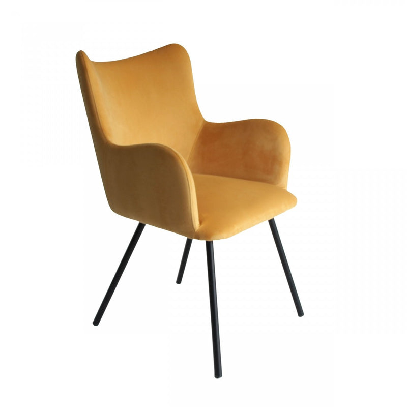 Modrest Barrett - Modern Dining Chair