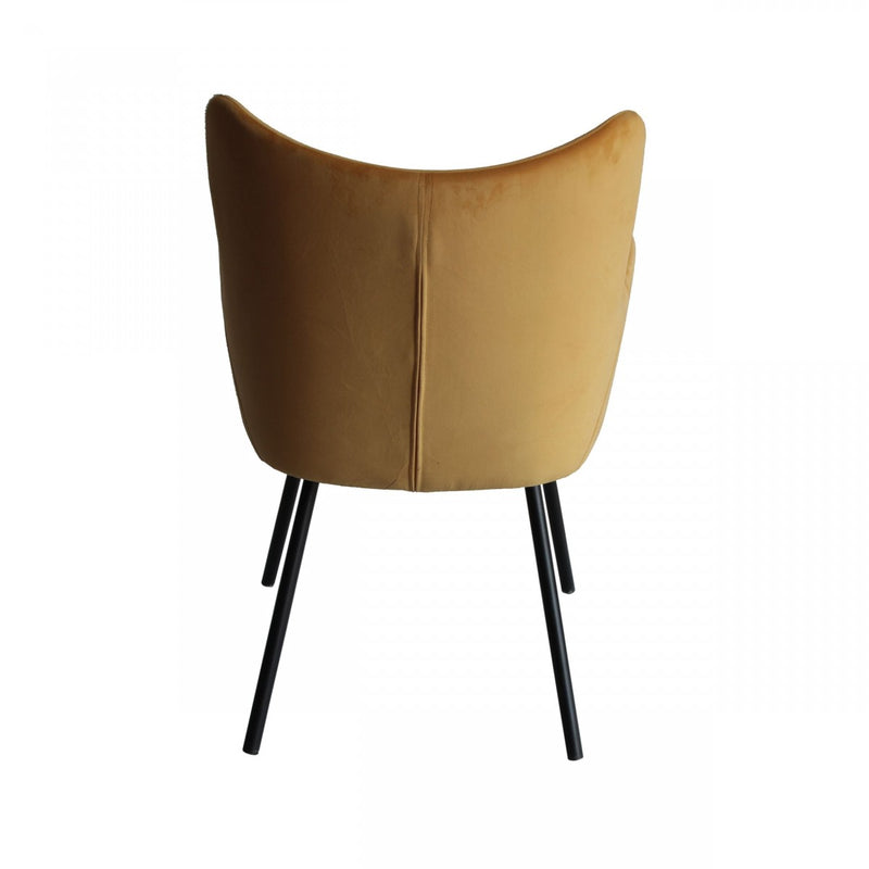 Modrest Barrett - Modern Dining Chair