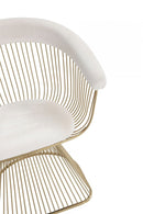Modrest Chandler - Modern Velvet & Gold Dining Chair