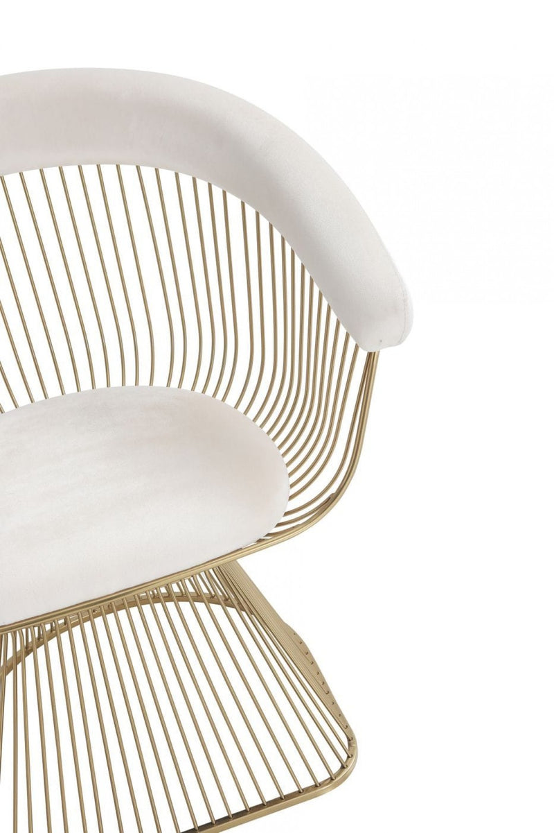 Modrest Chandler - Modern Velvet & Gold Dining Chair