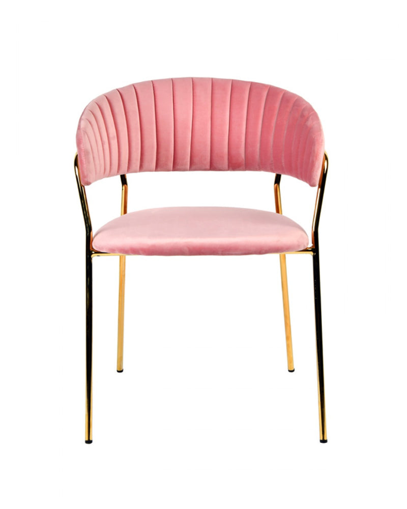 Modrest Brandy Modern Fabric Dining Chair (Set of 2)
