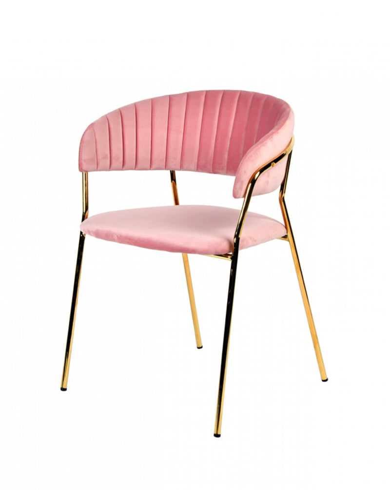 Modrest Brandy Modern Fabric Dining Chair (Set of 2)