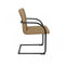 Modrest Ivey - Modern Dining Chair (Set of 2)