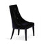 A&X Charlotte - Velour Dining Chair (Set of 2)