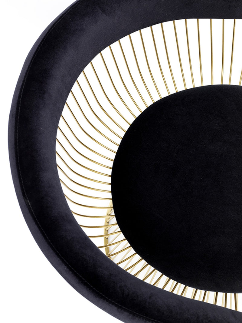 Modrest Chandler - Modern Velvet & Gold Dining Chair