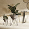 Modrest Zora Modern Concrete Small Planter